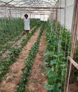 WhatsApp Image 2024-12-12 at 8.36.31 AM