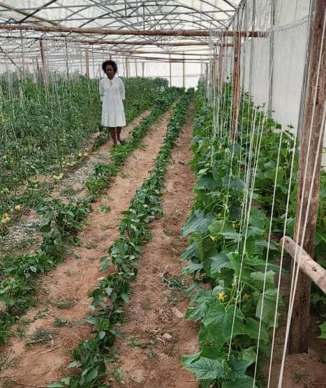 WhatsApp Image 2024-12-12 at 8.36.31 AM