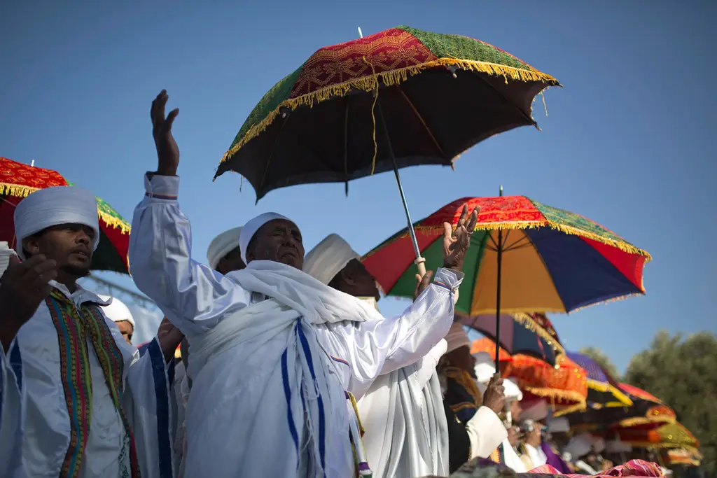 WhatsApp Image 2025-11-21 at 8.31.25 PM